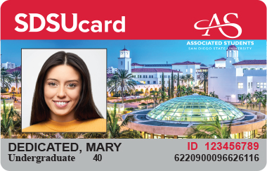 SDSUCard example